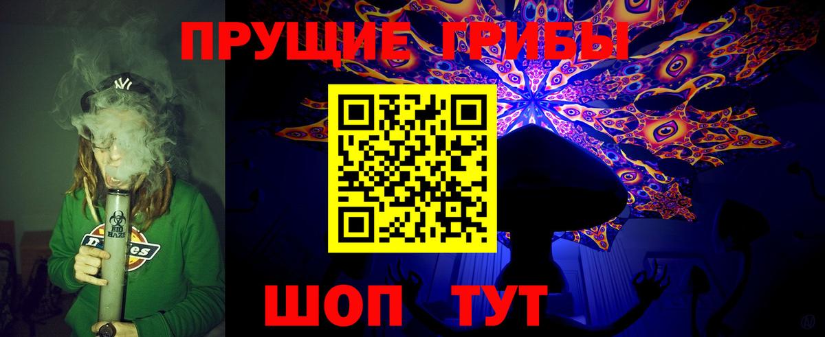 Галлюциногенные грибы Psilocybine cubensis  Вход с VPN  Елизово 